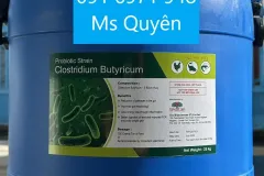 Men vi sinh Clostridium butyricum cho vật nuôi tại TP.HCM