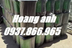 Bán thùng rác phân loại 2 ngăn tại Hà Nội