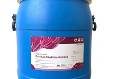 Bacillus Amyloliquefaciens hỗ trợ tôm cá tại TP.HCM