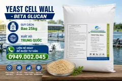 Nguyên liệu thức ăn thủy sản - Yeast Cell Wall