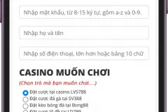 Đăng ký LVS788, LVG788, LVA788 tại Hà Nội
