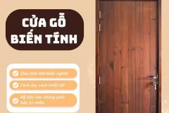 Cửa gỗ biến tính cao cấp tại TP. Hồ Chí Minh