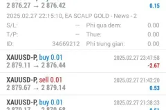 Cơ hội kinh doanh đồ da xuất khẩu tại Gò Vấp