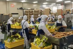 Tuyển nhân viên sản xuất bánh kẹo tại Thủ Đức