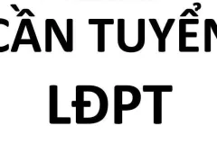 Tuyển NAM LĐPT tại Bình Tân, lương 9-11 triệu/tháng