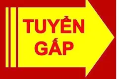Tuyển chuyên viên hồ sơ ngành hóa mỹ phẩm tại TP.HCM