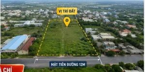 Cần bán gấp Đất 5244m2 Võ Văn Vân, Vĩnh Lộc A, Bình Chánh. Chỉ 42 tỷ,