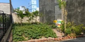 BÁN NHÀ LƯƠNG VĂN CAN  ĐẤT LỚN 174M² Q.8 – HẺM XE TẢI 8M – SỔ VUÔNG A4- NHĨNH