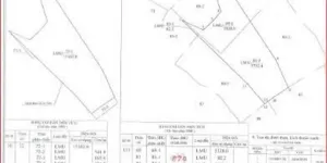 ĐẤT ĐẸP – GIÁ TỐT - CẦN BÁN NHANH ĐẤT NÔNG NGHIỆP RỘNG TẠI Xã Lý Nhơn, Huyện