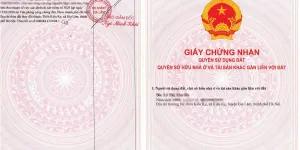 ĐẤT ĐẸP - GIÁ TỐT - CHÍNH CHỦ BÁN ĐẤT TRUNG DƯƠNG – GIA LÂM – Hà Nội