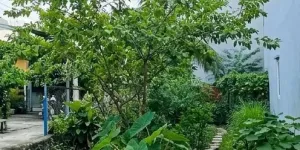 [DD181*] Đất Lô Góc Ô Tô Thông An Phú Đông Q12, Giá 3.x Tỷ