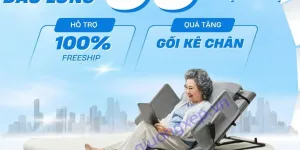 Giường điện SHINDAI cho người tai biến tại Hà Nội