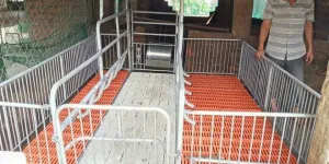 Chuồng heo nái đẻ giá rẻ tại Gia Lai
