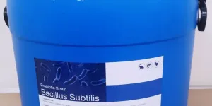 Cung cấp Bacillus Subtilis cho vật nuôi tại TP.HCM