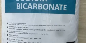 Men vi sinh Enterrococcus faecium cho vật nuôi tại TPHCM